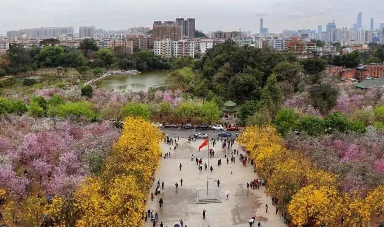 高考在即收下这份考试锦囊,献给高考后学子们的大学攻略