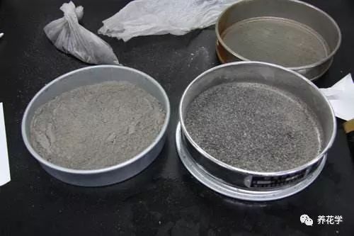 养的花有特别多小黑虫有什么办法,养花小黑飞怎么处理