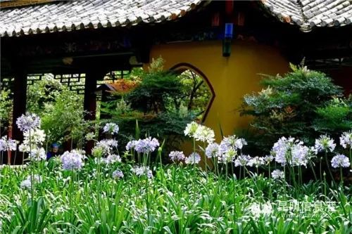 端午昆明有什么玩的,昆明端午哪里耍