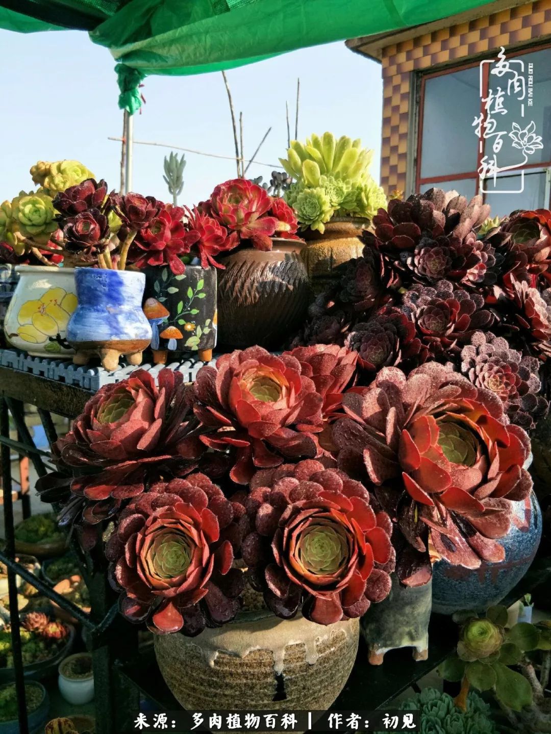 紧张的高三生活也需要适度的放松,紧张焦虑高考