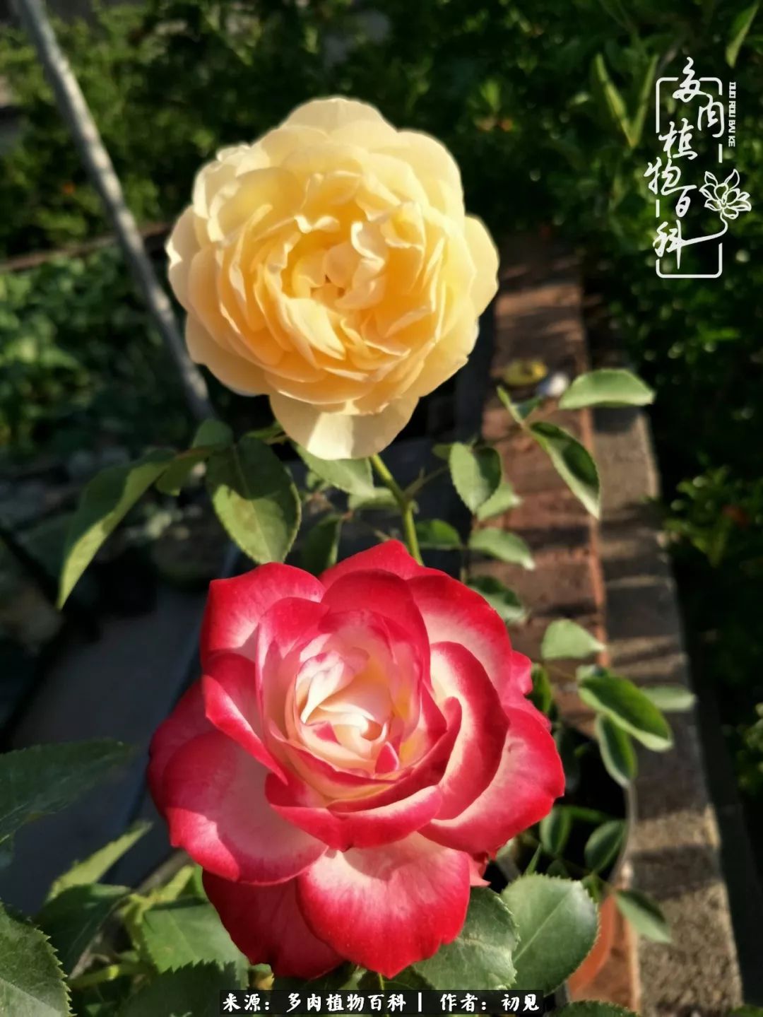 紧张的高三生活也需要适度的放松,紧张焦虑高考