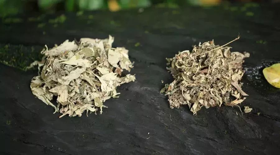 鑷墦鍏ュ啲浠ユ潵鐙緱铓婂瓙鎭╁疇,浠庡叆澶忎互鏉ュ氨鐙緱铓婂瓙鎭╁疇