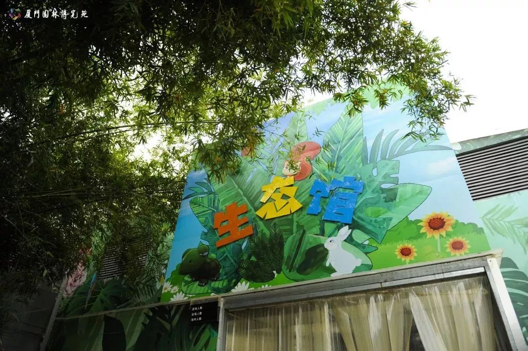 厦门适合带孩子去玩的地方推荐,厦门6月份哪里好玩