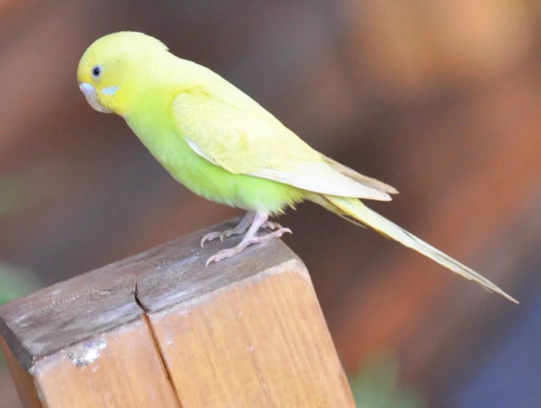 厦门适合带孩子去玩的地方推荐,厦门6月份哪里好玩