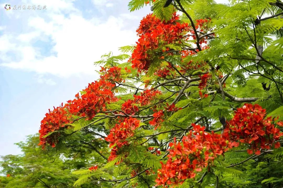 厦门适合带孩子去玩的地方推荐,厦门6月份哪里好玩