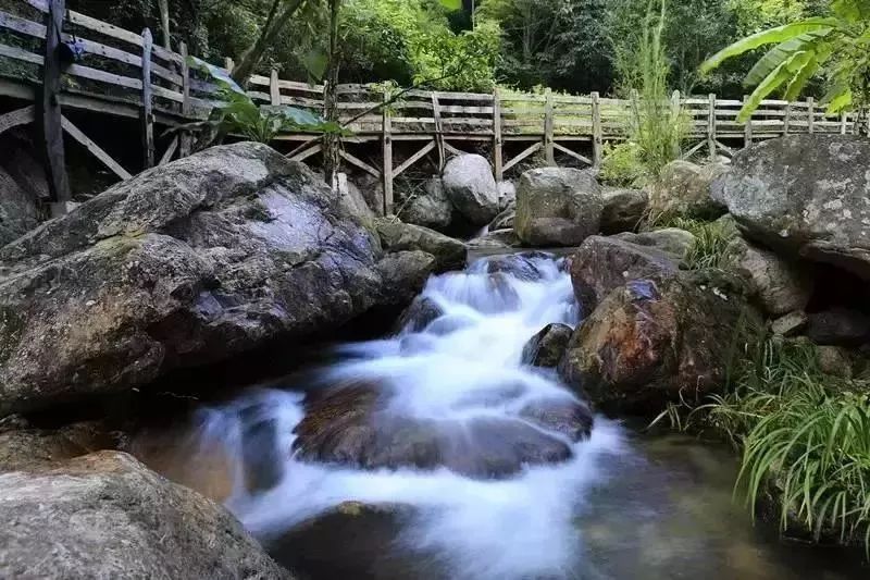 从广州坐高铁3.5小时到梅州，这海量美景美食看得人口水直流