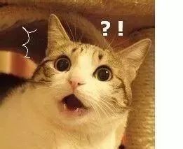 日本网红眼药水禁售原因,日本网红眼药水禁用吗