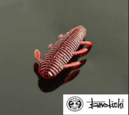 国内路亚比赛技巧,2024年中国路亚赛事