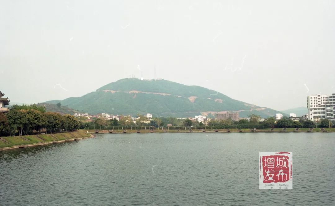 满满的回忆!一组珍贵老照片,带你见证增城变迁!