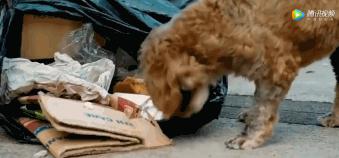 我终于战胜了抑郁症,感谢医生治好了抑郁症