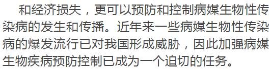 赣州市四害消杀,赣州灭四害竞标