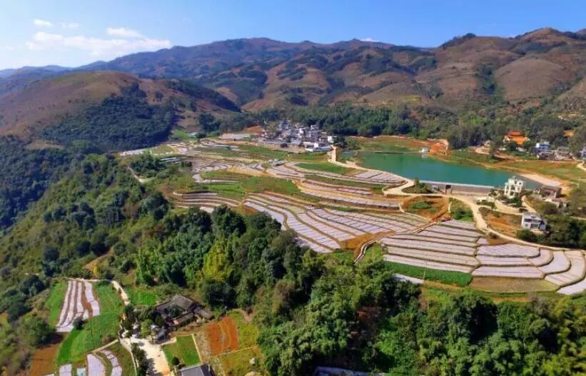 弥勒美食必吃推荐,云南弥勒美食野生菌