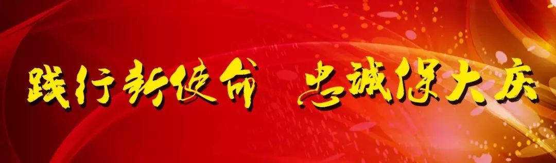 哈尔滨犬只管理中心电话,哈尔滨犬证能网上办理吗