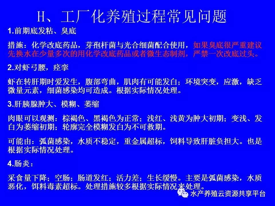 工厂化养殖南美白对虾技术详解,工厂化南美白对虾养殖全过程