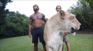 体重319公斤温柔巨兽 (319公斤的温柔巨兽)