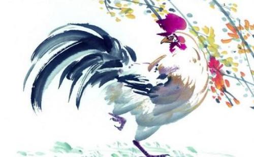 男命1993年属鸡的人2019年运程，男命1993年生肖鸡2019年运势详解