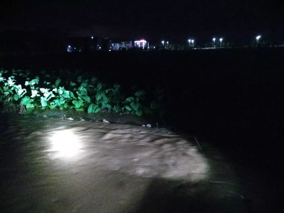 春城入冬以来第一场雨,春城会不会有大暴雨