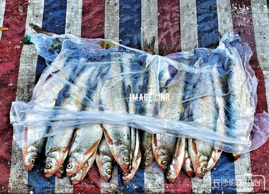 琛屾憚璇氭嫑鍏ㄥ浗鍚堜綔浼欎即,琛屾憚婀栧崡