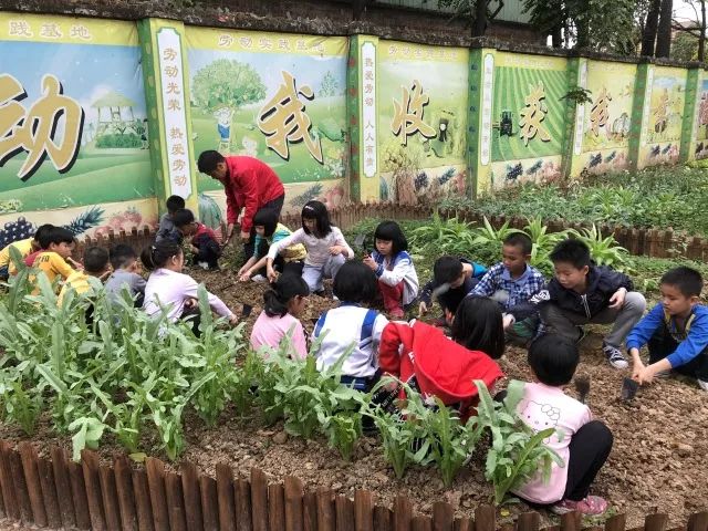 珍贵老照片1996,佛山珍贵老照片视频