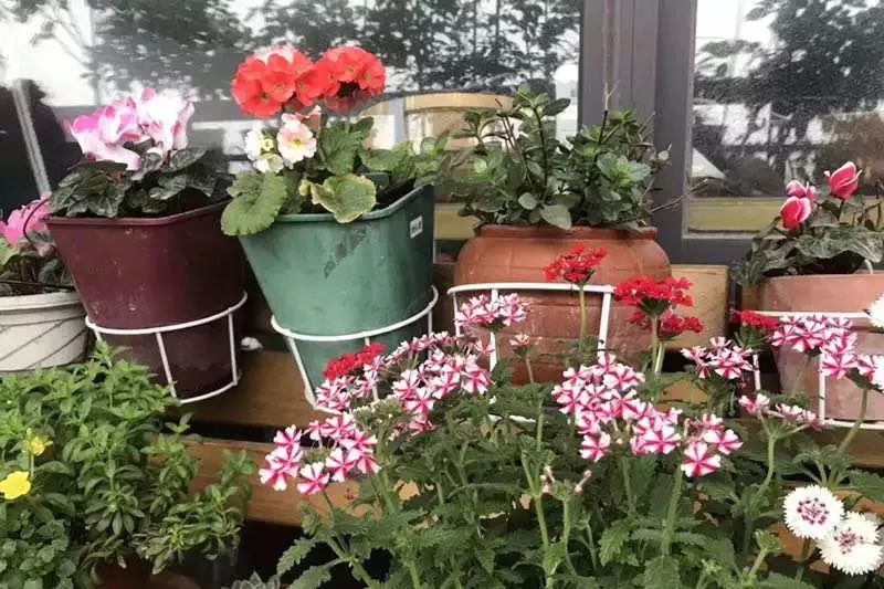 打造美好幸福的家,打造一片天地