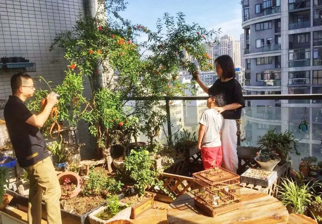 打造美好幸福的家,打造一片天地