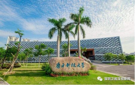 深圳南方科技大学排名,探索深圳高校