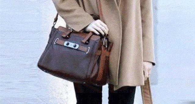 coach恐龙变身,fashion艺术家