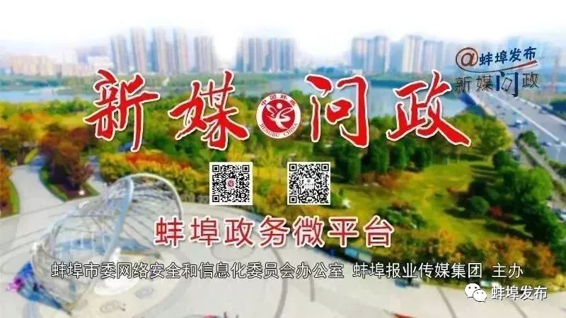 淮宿蚌城际铁路接入蚌埠南站,淮宿蚌城际铁路是否接入京沪高铁