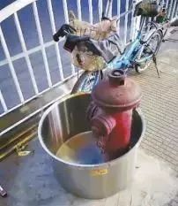 消防车赶到没有水,救火到达火灾现场后发现火势很大