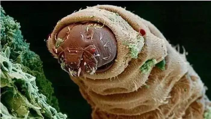 梅雨季，霉菌，霉完？没了！