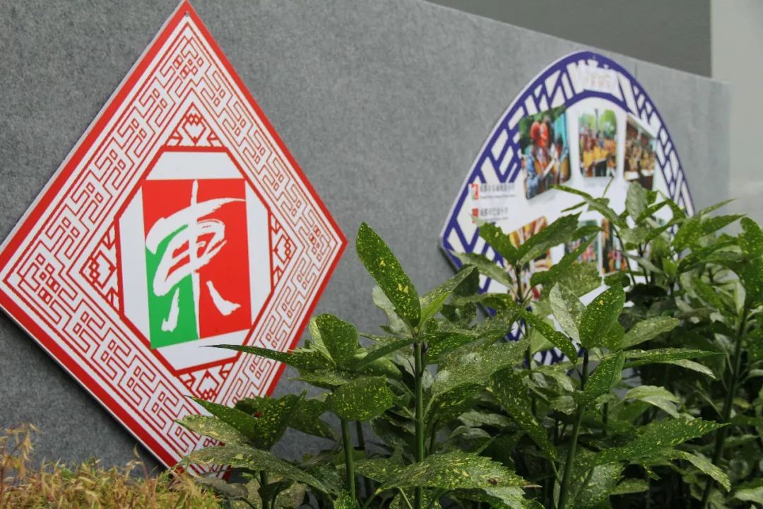 成都东城根街小学b区地址,成都东城根街小学靠谱吗