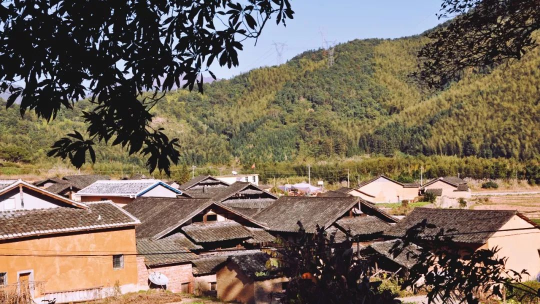 在宁德洋头，过了一段忘不掉的小生活！