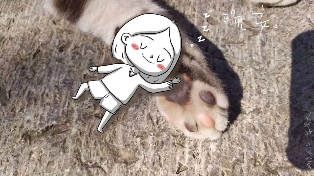 茶园主题民宿,茶园最好的民宿