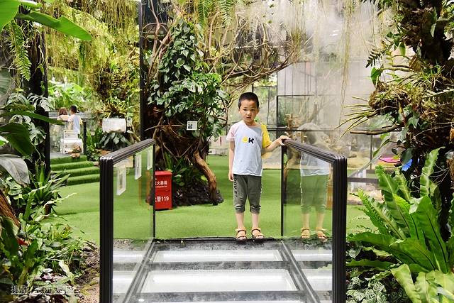 厦门带娃游玩景点推荐最新,厦门带娃必去景点攻略推荐