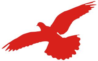 全市足球比赛开赛,上海法院足球比赛