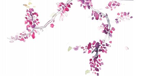 清华设计备考全攻略,清华机械报考要求