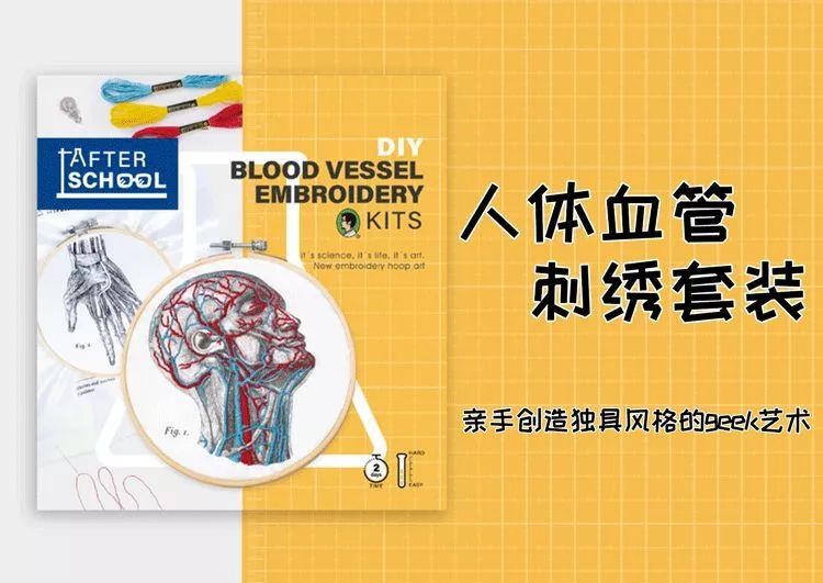 我就不信，只有我一个人想试试人体解剖丨好物推荐