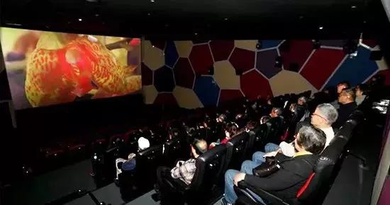 辰山植物园最近有什么活动,动植物园夏令营