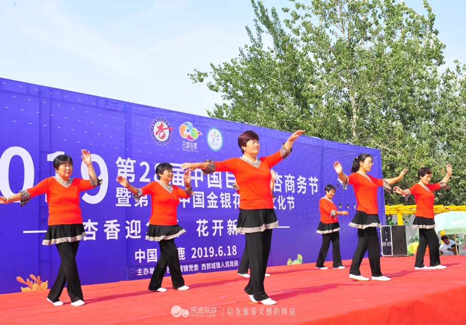 巨鹿县靠两果一花28年干了这么多大事