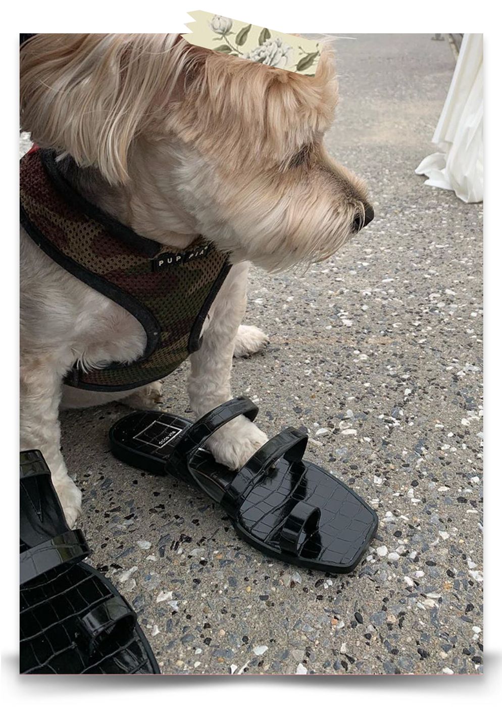 7月，你即将被这双鞋刷屏