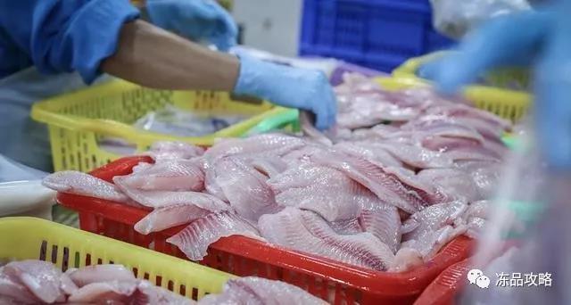 2023罗非鱼外贸出口情况,海南罗非鱼出口企业