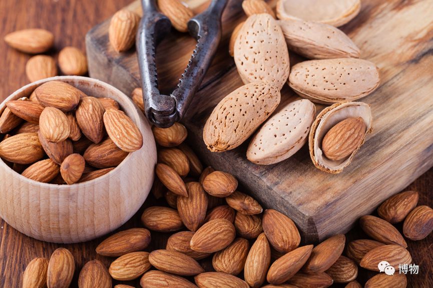 桃子煮米饭，你猜是不是黑暗料理？