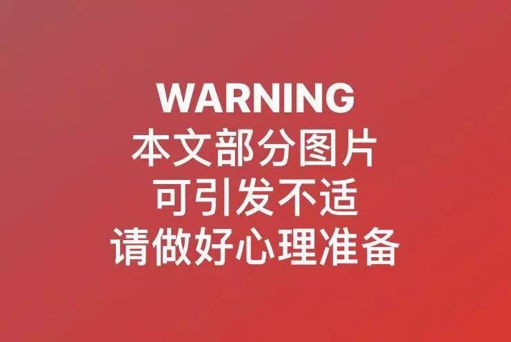 澳大利亚现巨型蜘蛛,澳大利亚巨型蜘蛛在哪出现