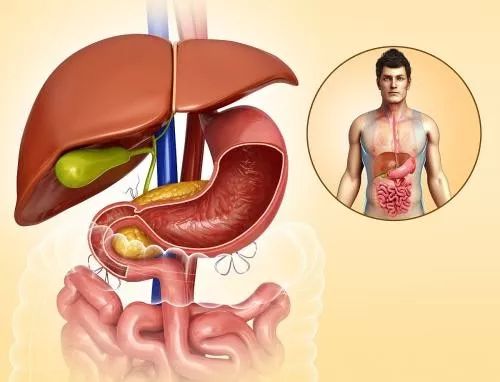 半夜睡醒嘴里发苦发臭怎么解决,夜里睡觉嘴里发干发苦吃什么药