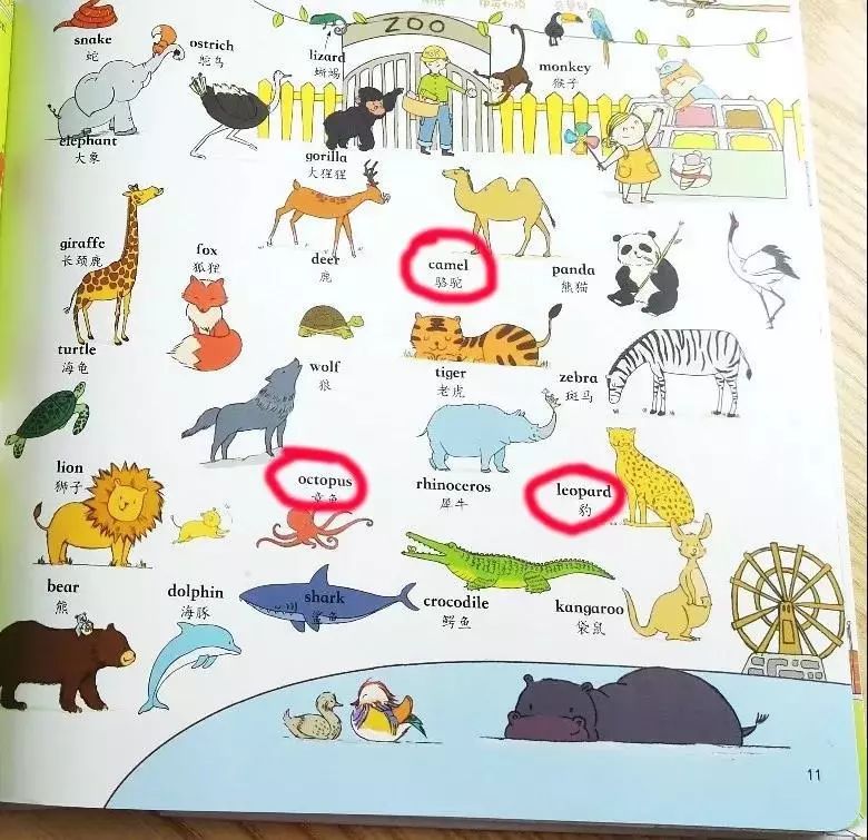 快速学英语儿童点读,英语点读启蒙书