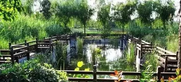 郑州湿地公园有啥好玩的,郑州周边的这七大湿地公园