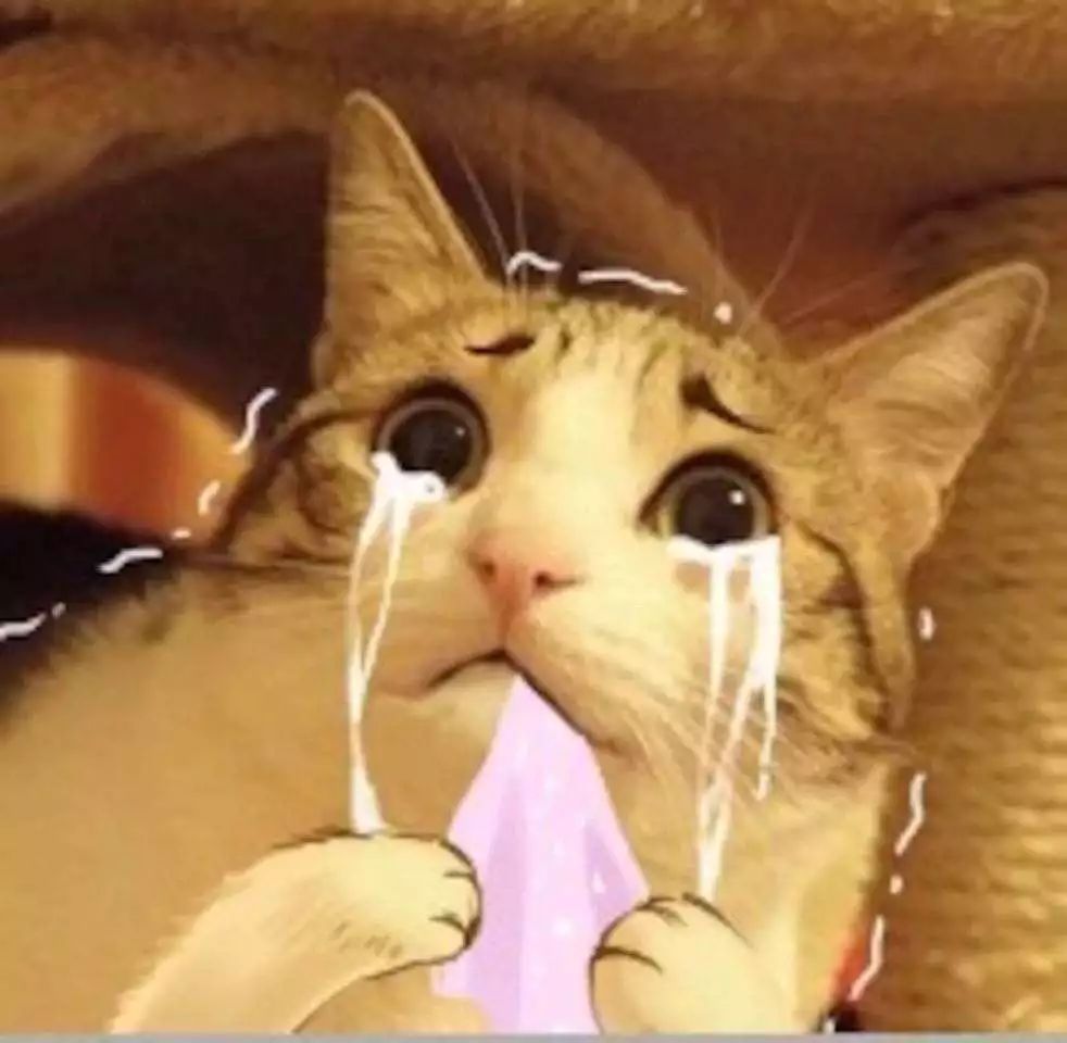 日本八款网红神药,日本网红药