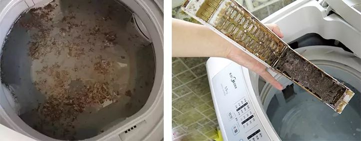 洗衣机污垢和霉菌,洗衣机加水有厕所味儿