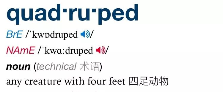 破冰行动|词缀Ped-的那些事