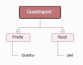 破冰行动|词缀Ped-的那些事